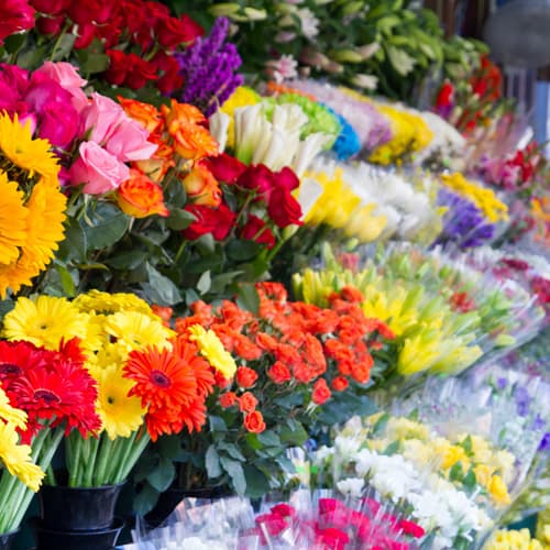 Floristería en Santiago de Compostela