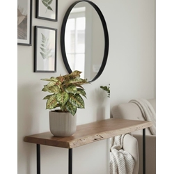 AGLOENENMA - Imagen 1