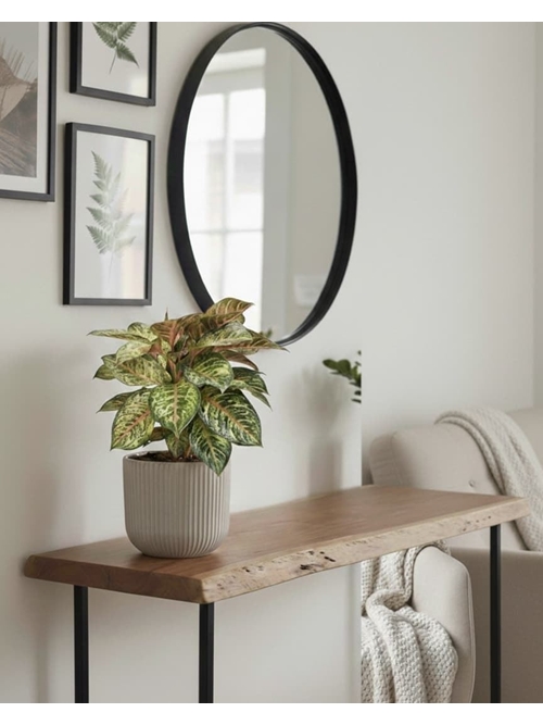 AGLOENENMA - Imagen 1