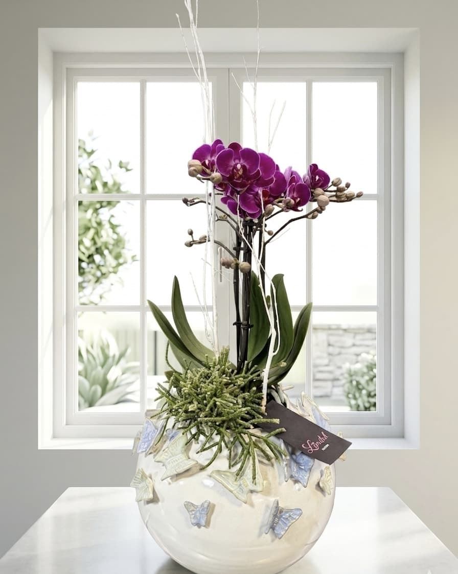 ARREGLO PHALAENOPSIS - Imagen 1