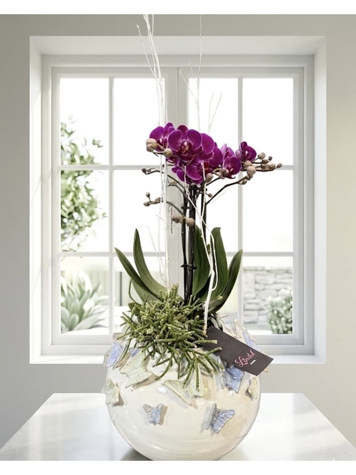 ARREGLO PHALAENOPSIS - Imagen 1