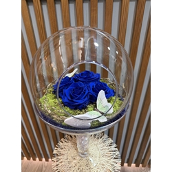 ARREGLO ROSAS AZULES PRESERVADA - Imagen 2