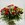 BELLEZA - Ramo de 24 rosas rojas - Imagen 1