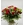 BELLEZA - Imagen 1