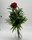 BESO. (Rosa Roja San Valentin) - Imagen 1