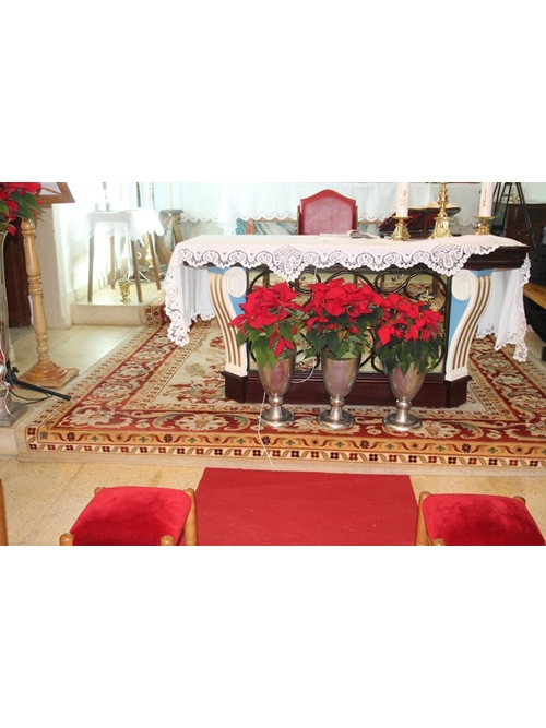 BODA NAVIDAD - Imagen 1