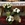 BODA SAN FRANCISCO - Imagen 2