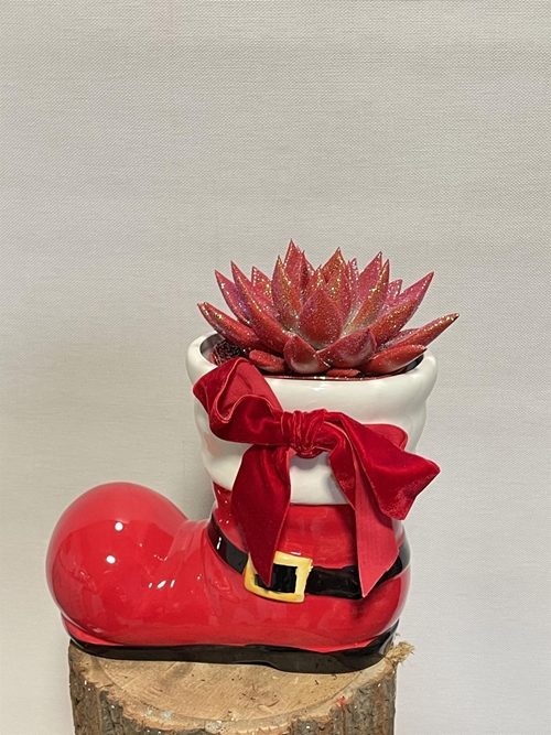 BOTA NAVIDEÑA - Imagen 1