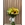 BOUQUET GIRASOL - Imagen 1