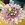 Bouquet novia de petalos de cymbidium - Imagen 1