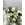 BOUQUET ROMANCE CLÁSICO - Imagen 1