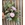 BOUQUET ROMANCE - Imagen 2