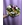 BOUQUET SUEÑO FLORAL - Imagen 1
