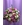 BOUQUET SUEÑOS EN MALVA - Imagen 1