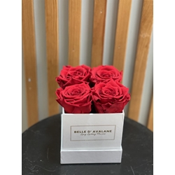 CAJA ROSAS PRESERVADAS - Imagen 1