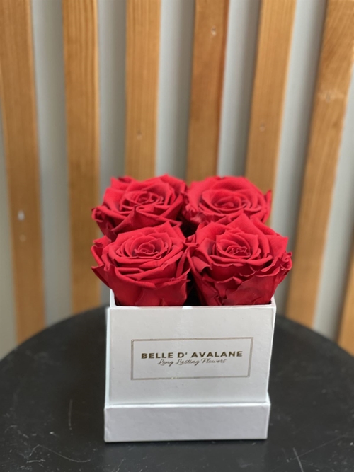 CAJA ROSAS PRESERVADAS - Imagen 1