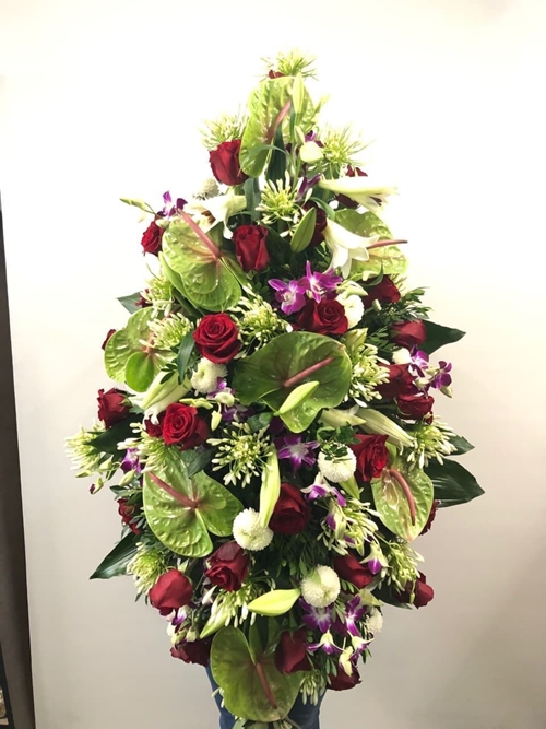 CENTRO BÁGOA - Imagen 1