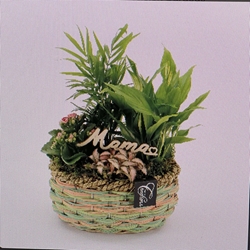 CENTRO BRUNA - Imagen 1