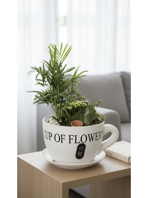 CENTRO DE PLANTAS EN BASE TAZA - Imagen 1