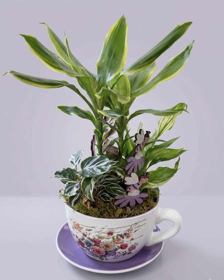 CENTRO DE PLANTAS - Imagen 1