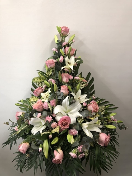 CENTRO ELOGIO - Imagen 1