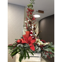 CENTRO ESENCIA FESTIVA - Imagen 1