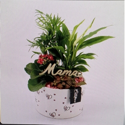 CENTRO GAIA - Imagen 1