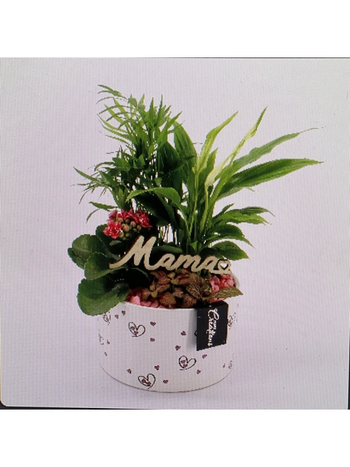 CENTRO GAIA - Imagen 1