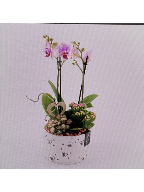 CENTRO MARIELA - Imagen 1