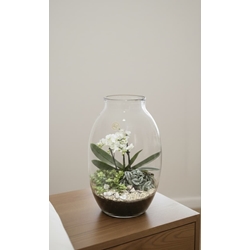 CENTRO ORQUIDEA - Imagen 1