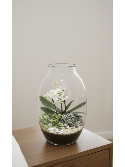 CENTRO ORQUIDEA - Imagen 1