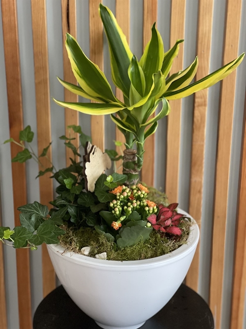 CENTRO PETRA - Imagen 1