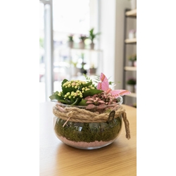 CENTRO PLANTAS EN BASE DE CRISTAL - Imagen 1