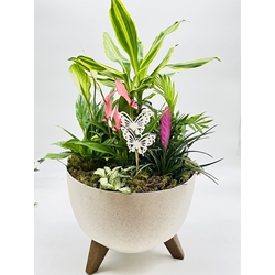 CENTRO PLANTAS - Imagen 1