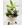 CENTRO PLANTAS - Imagen 1