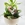 CENTRO PLANTAS - Imagen 1