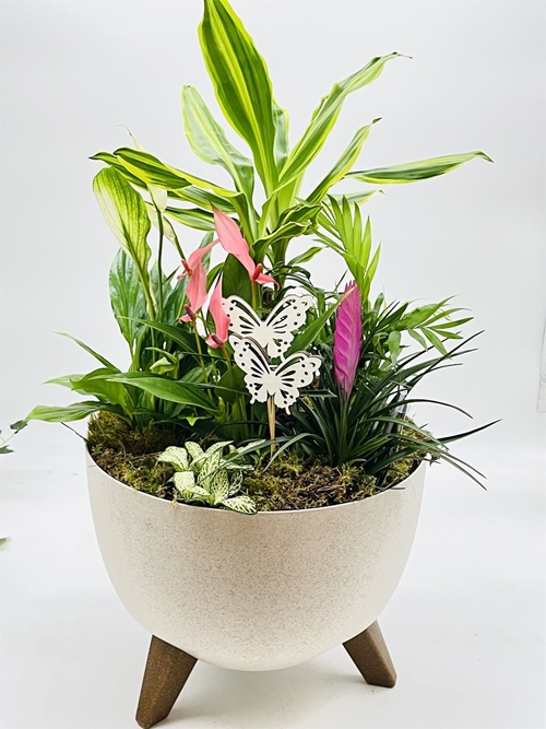 CENTRO PLANTAS - Imagen 1