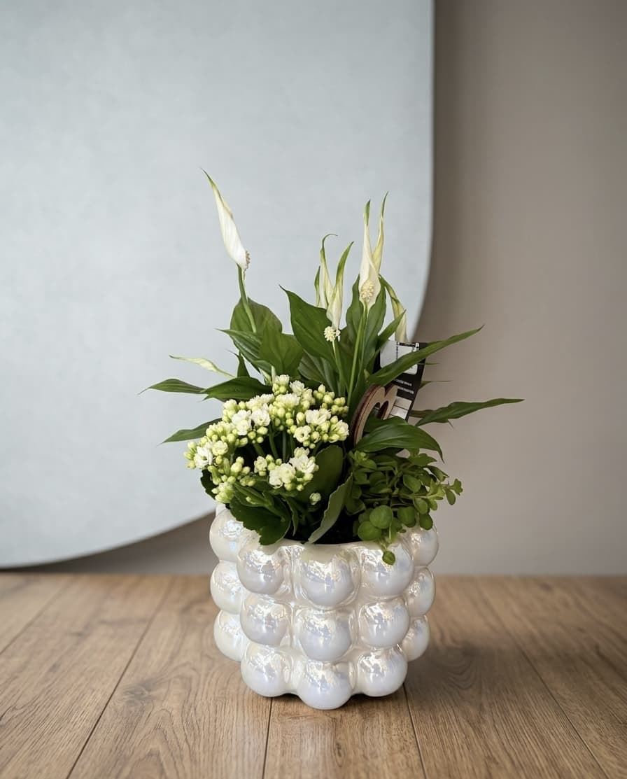 CENTRO PLANTAS - Imagen 1