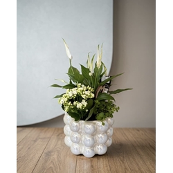 CENTRO PLANTAS - Imagen 1