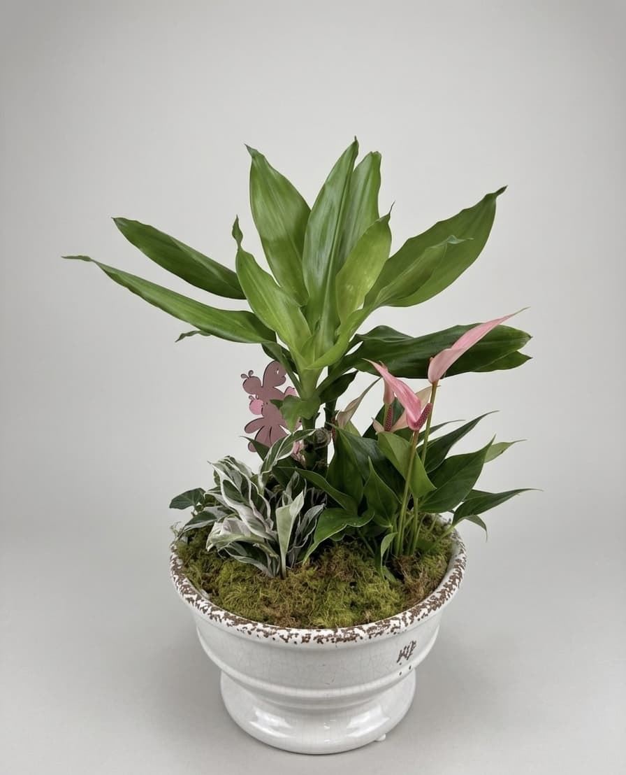 CENTRO PLANTAS - Imagen 1