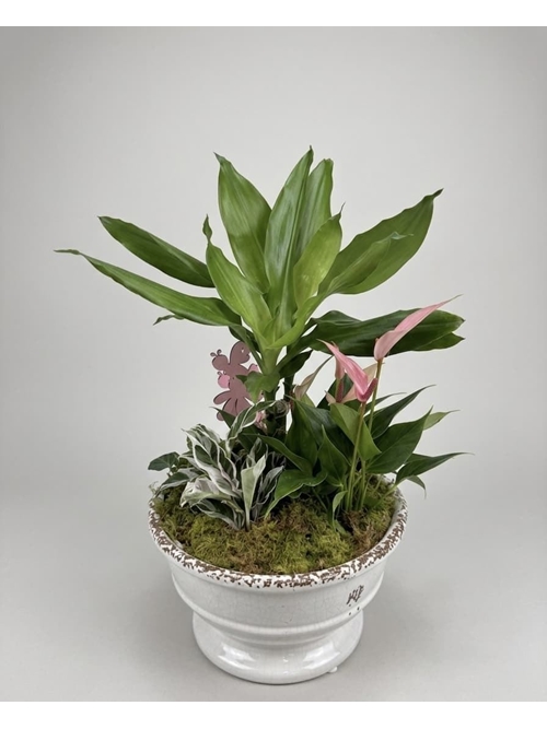 CENTRO PLANTAS - Imagen 1