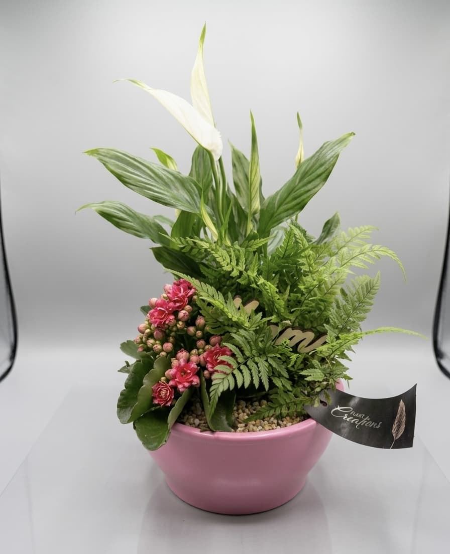 CENTRO PLANTAS - Imagen 1