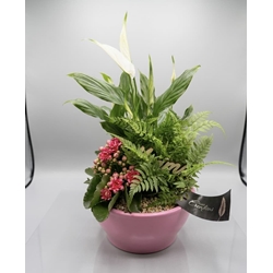 CENTRO PLANTAS - Imagen 1