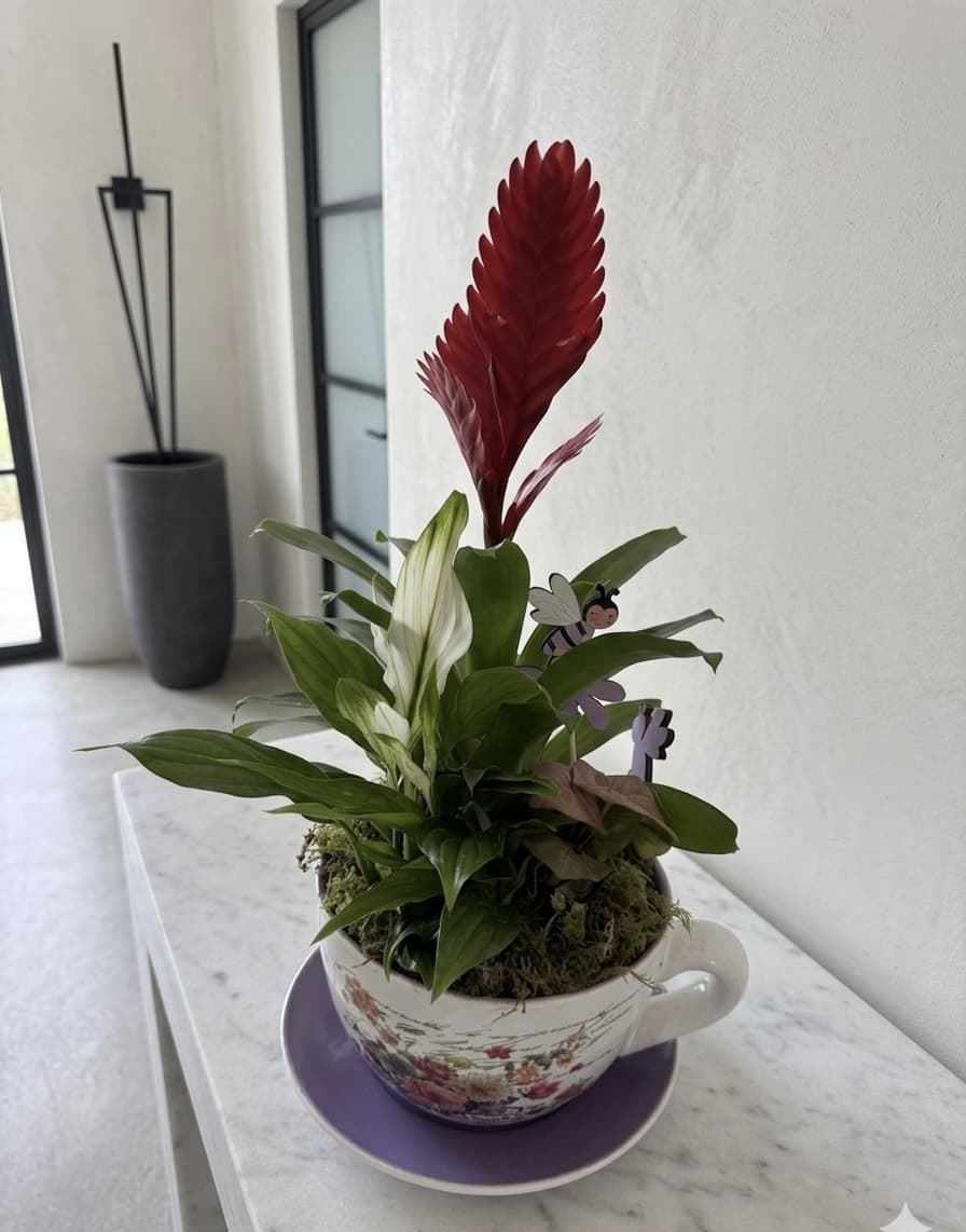 CENTRO PLANTAS - Imagen 1