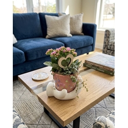 CENTRO PLANTAS - Imagen 1