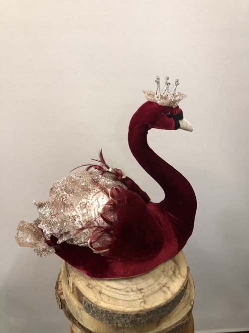 CISNE MEDIANO - Imagen 1