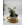 COMPOSICIÓN PLANTAS - Imagen 1