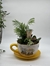 COMPOSICIÓN PLANTAS - Imagen 1