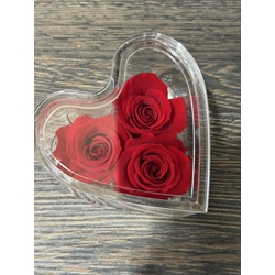 CORAZÓN ETERNO P - Imagen 1