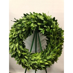 CORONA LAUREL - Imagen 1